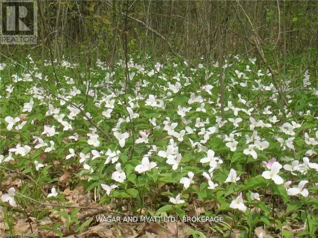 .. Bridge Street W, Greater Napanee, Ontario K7R 3L1