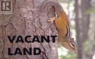 . Lower Slash Road, Tyendinaga, Ontario K0K 1X0