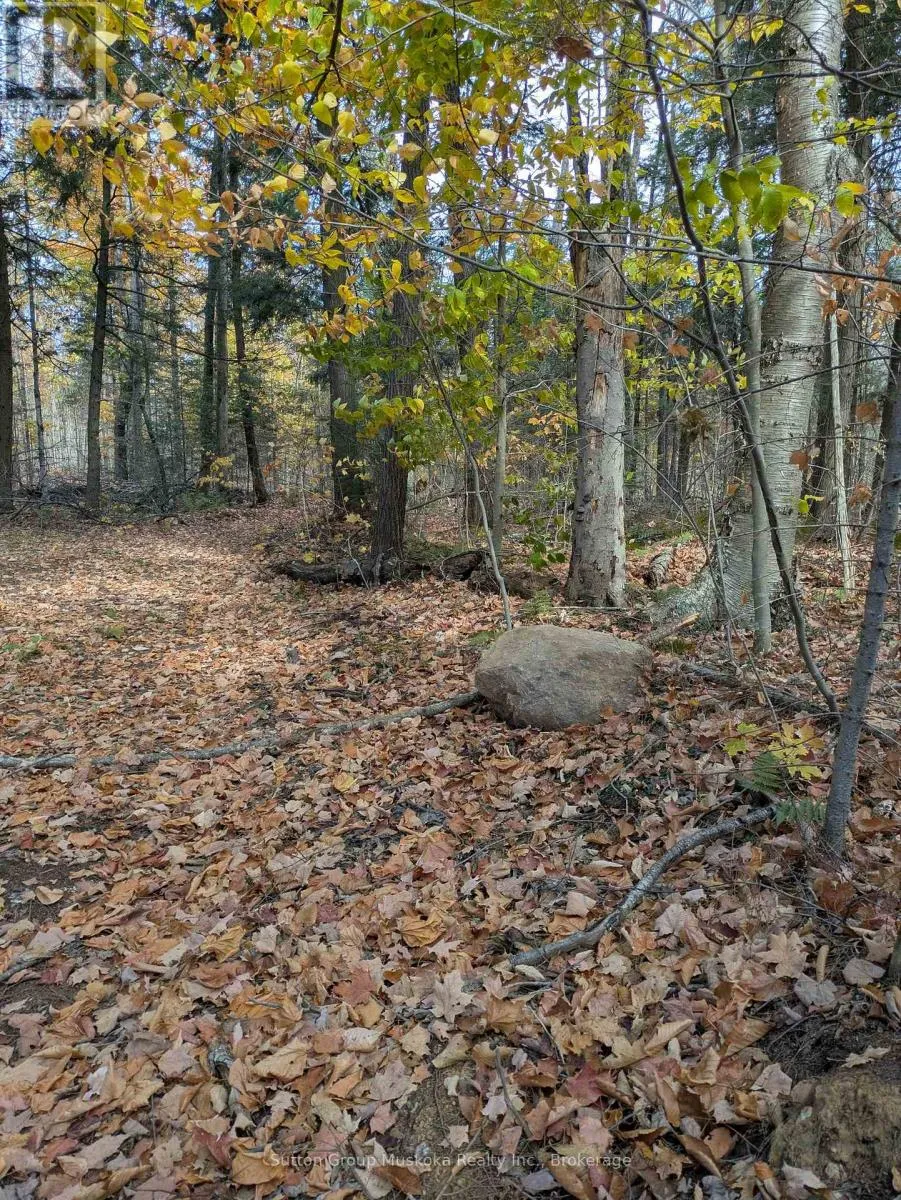 0 118 Highway E, Bracebridge, Ontario P1L 1X1