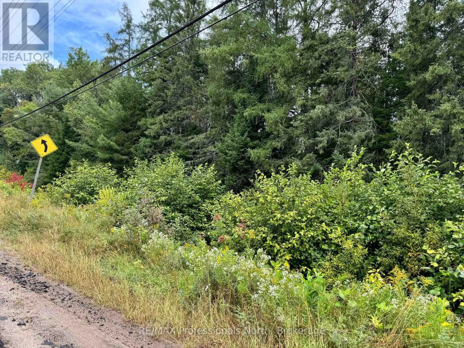 0 592, Perry, Ontario P0A 1J0