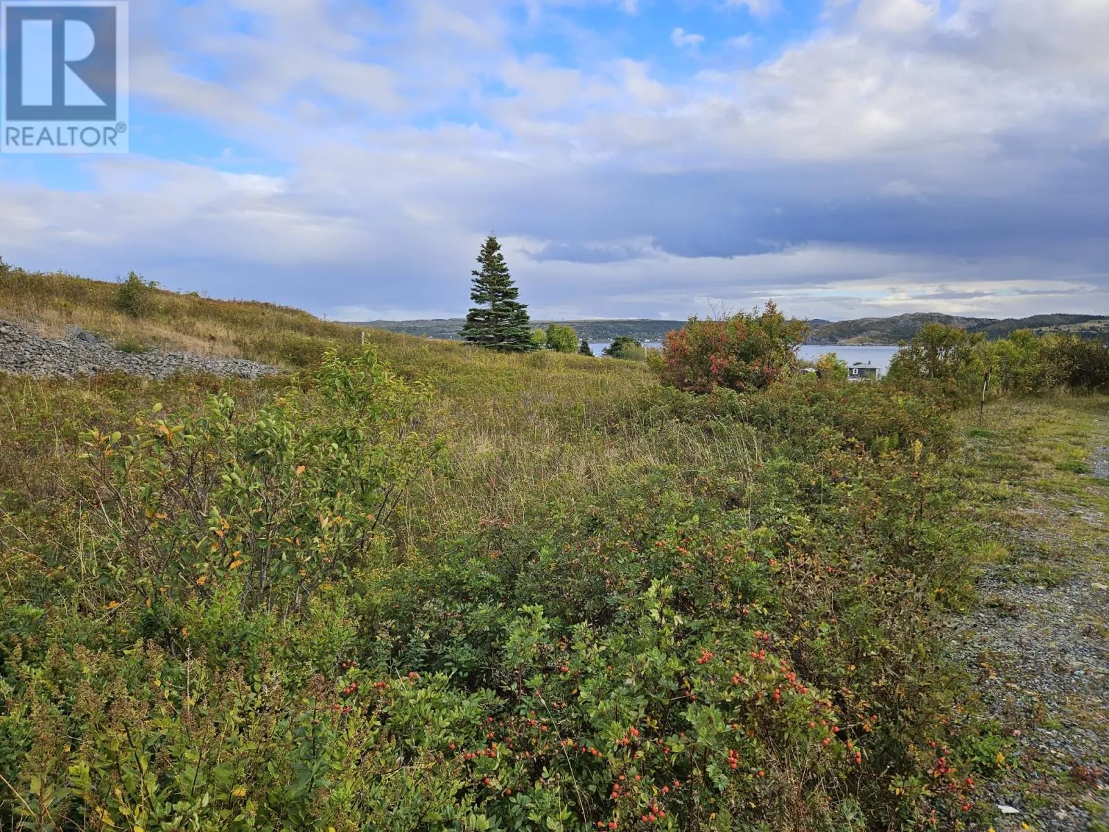 0 Bareneed Road, Bareneed, Newfoundland & Labrador A0A 1W0