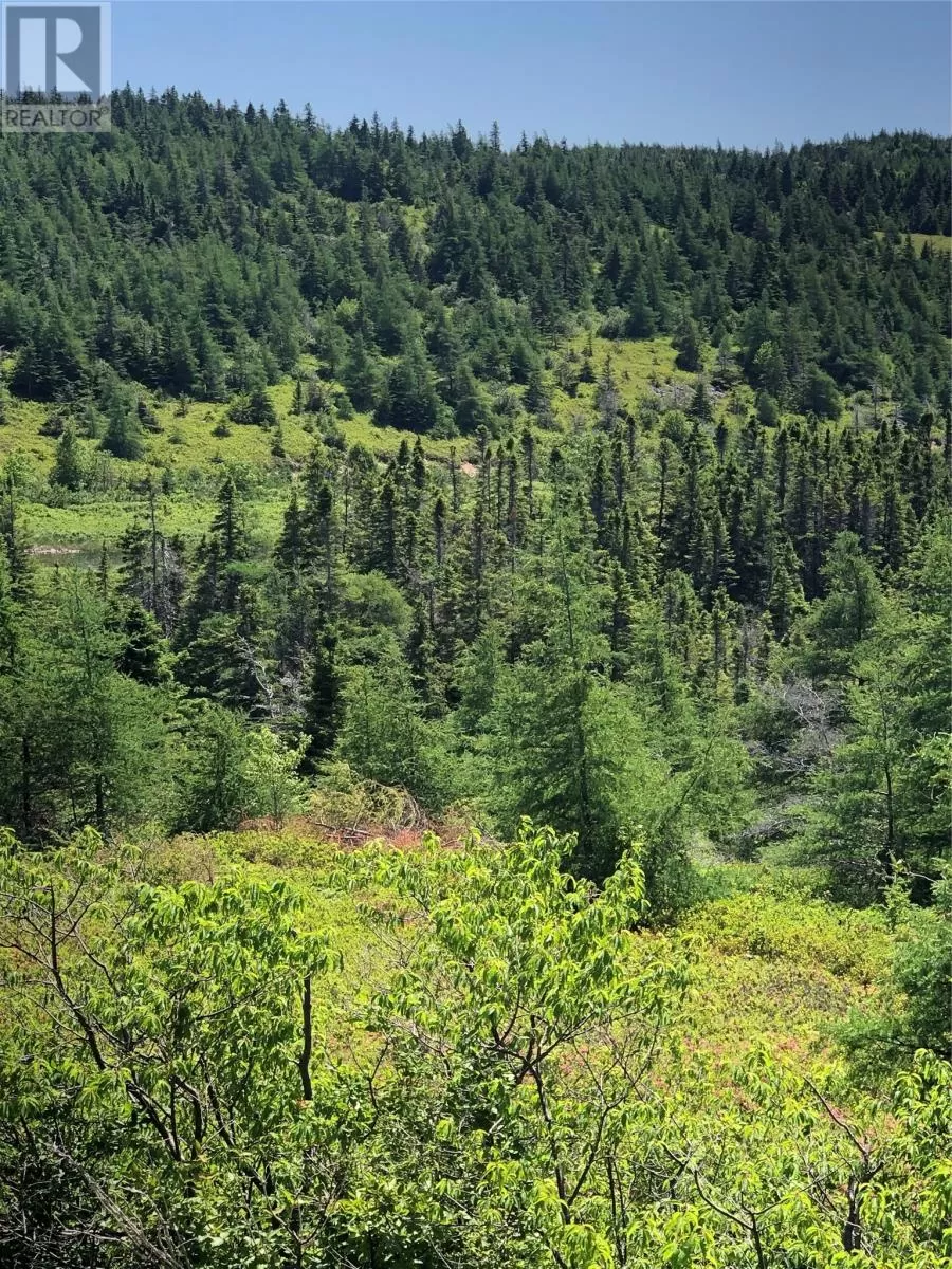 0 Black Duck Pond Road, Bareneed, Newfoundland & Labrador A0A 1W0