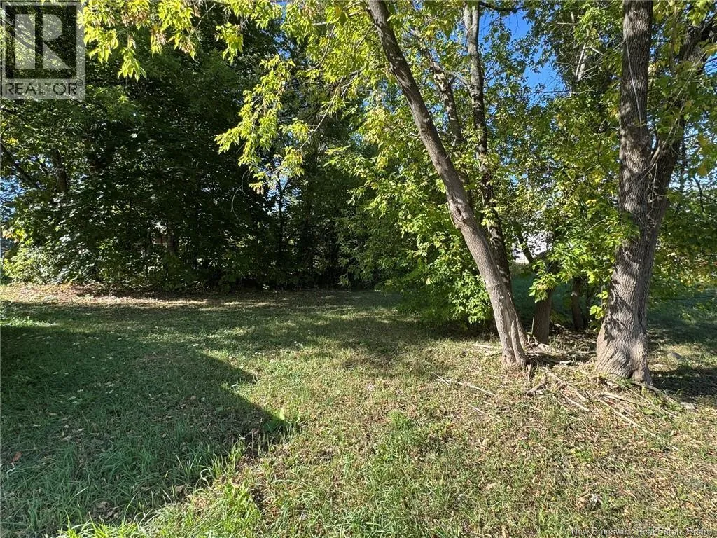 0 Boyne Street, Woodstock, New Brunswick E7M 6B1