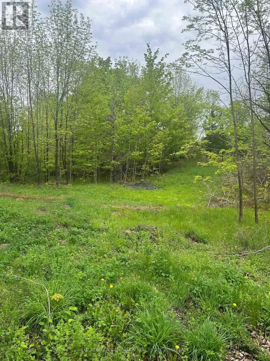 0 Bradshaw Road, Frontenac, Ontario K0H 2V0