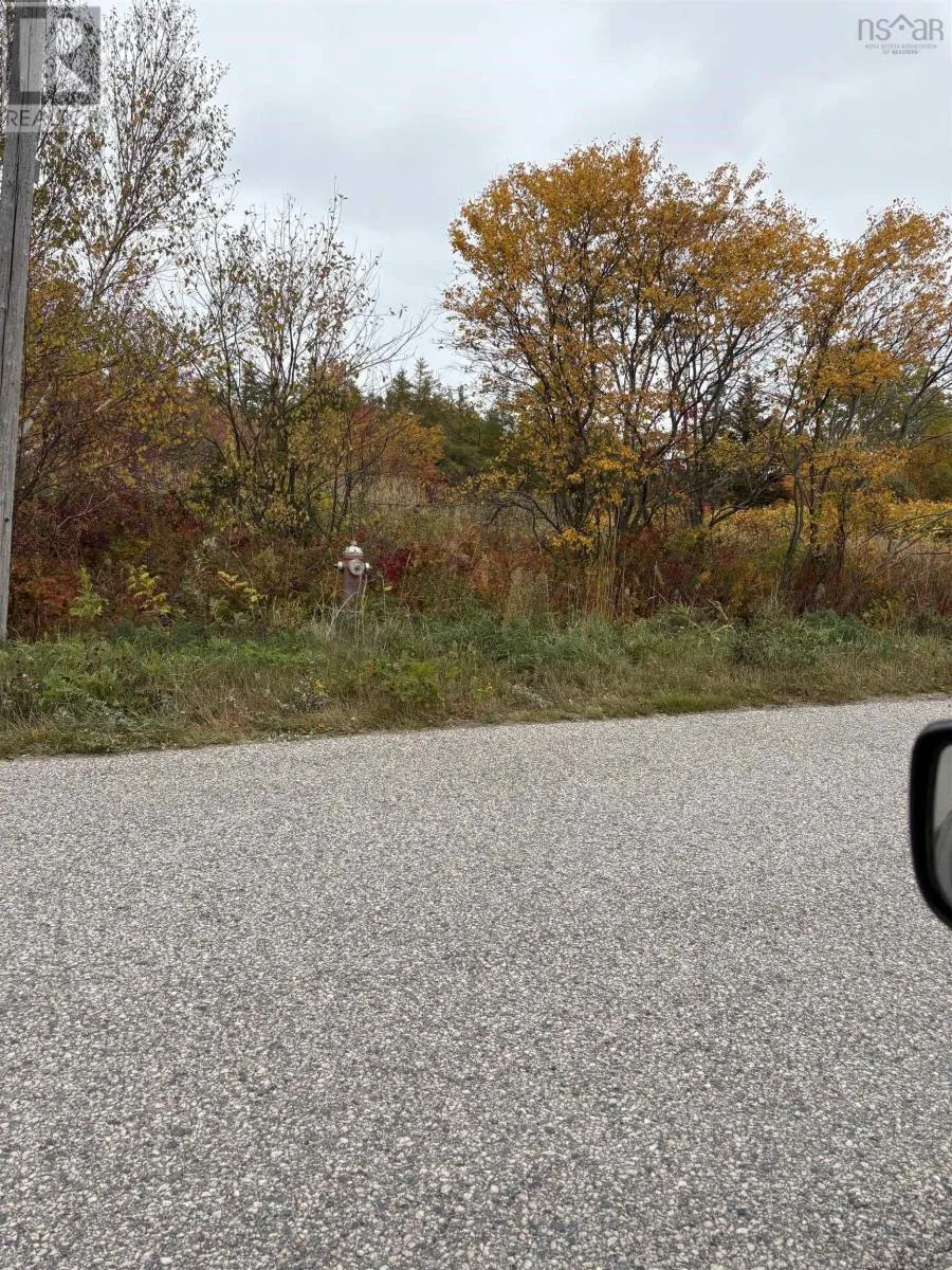 0 Browns Road, New Victoria, Nova Scotia B1H 3T8