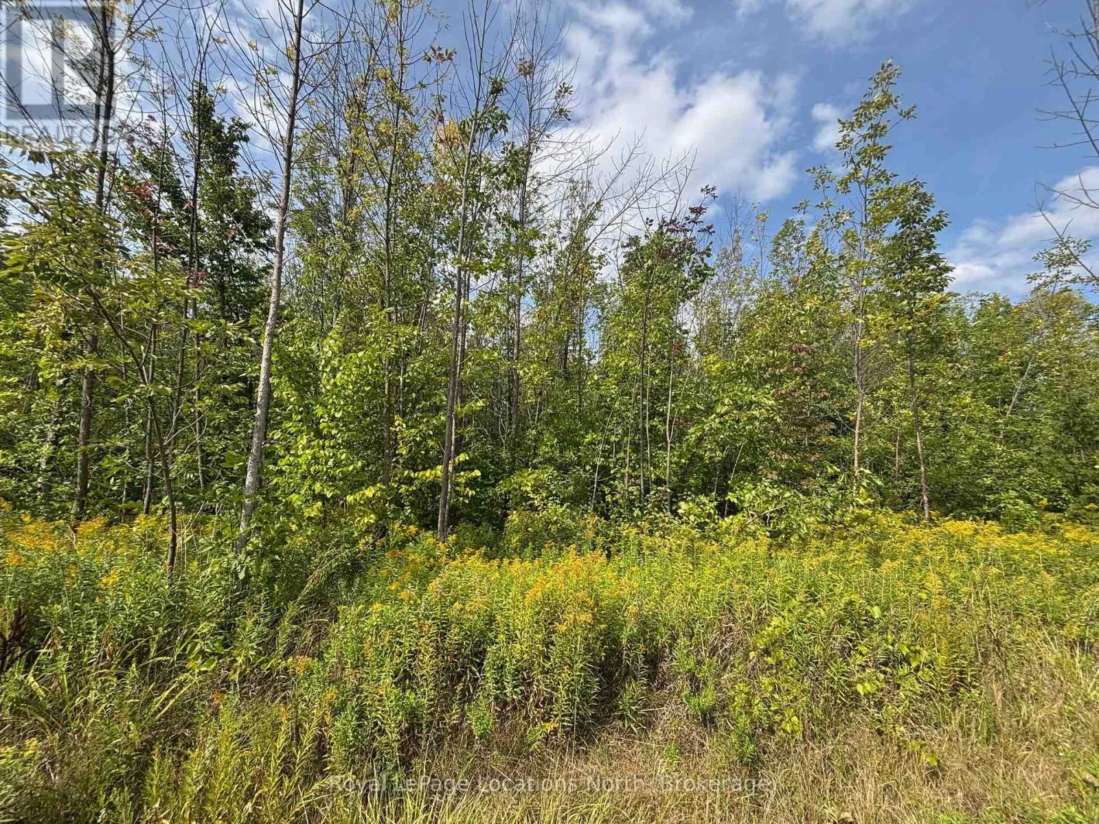 0 Cedar Avenue, Meaford, Ontario N4L 1W5