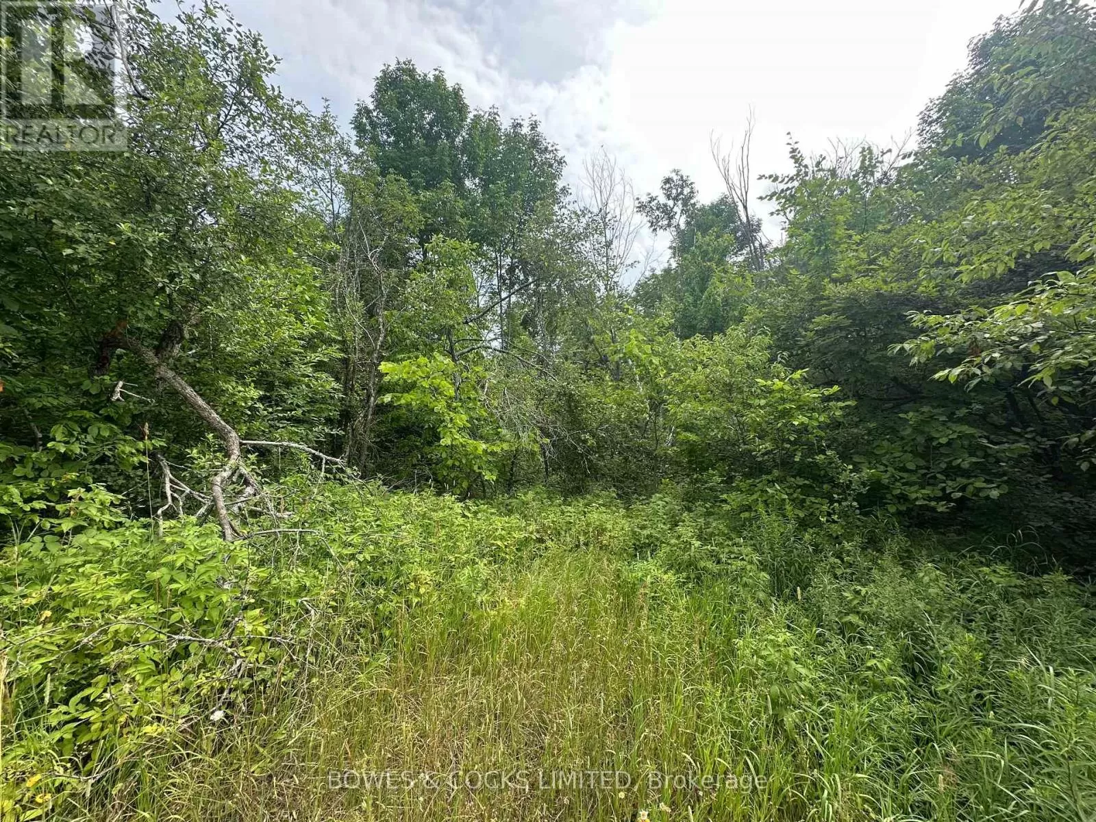 0 Centre Line Road, Marmora and Lake, Ontario K0K 2M0