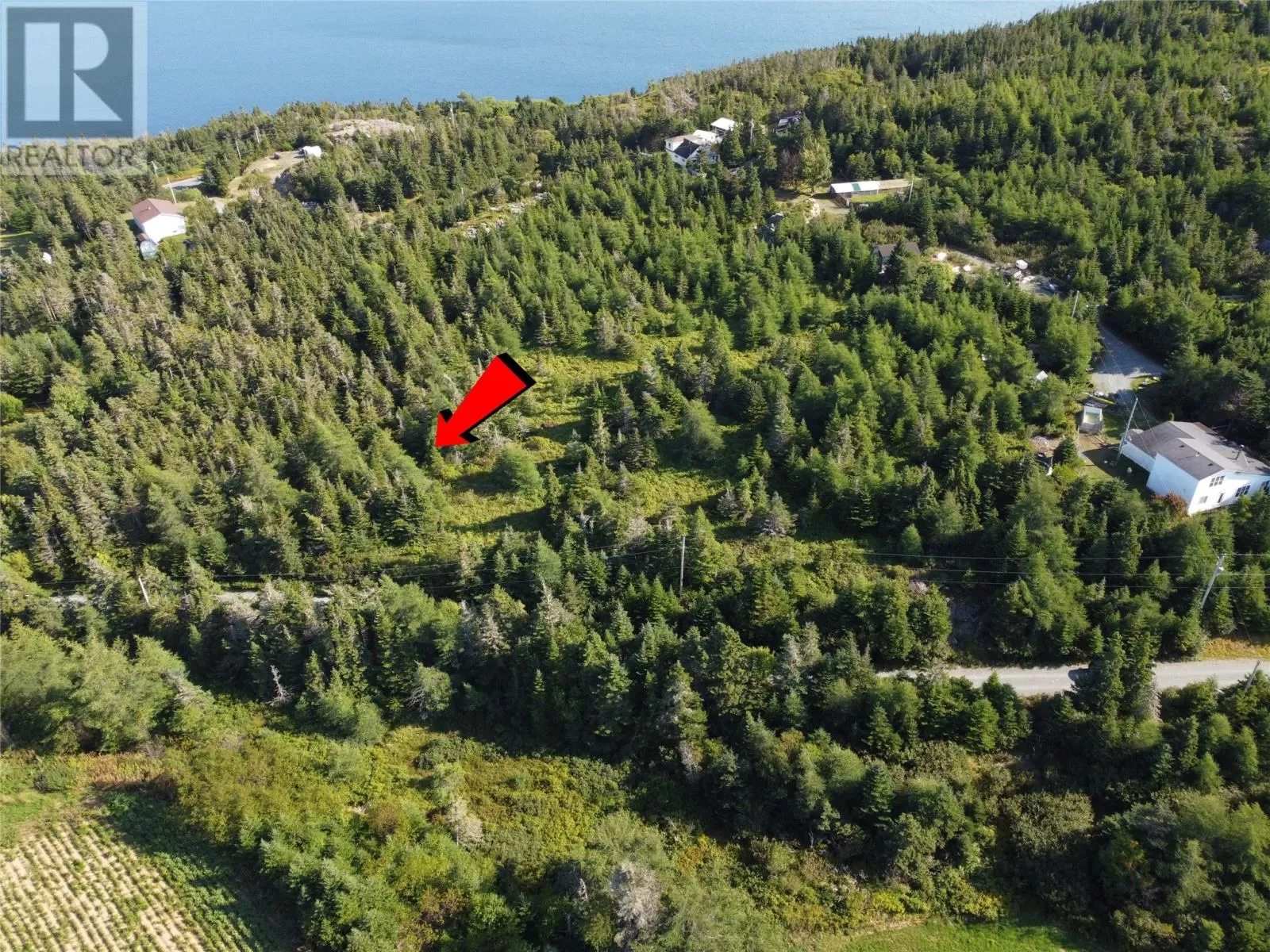 0 Cliff Meadows Road, Bareneed, Newfoundland & Labrador A0A 1W0