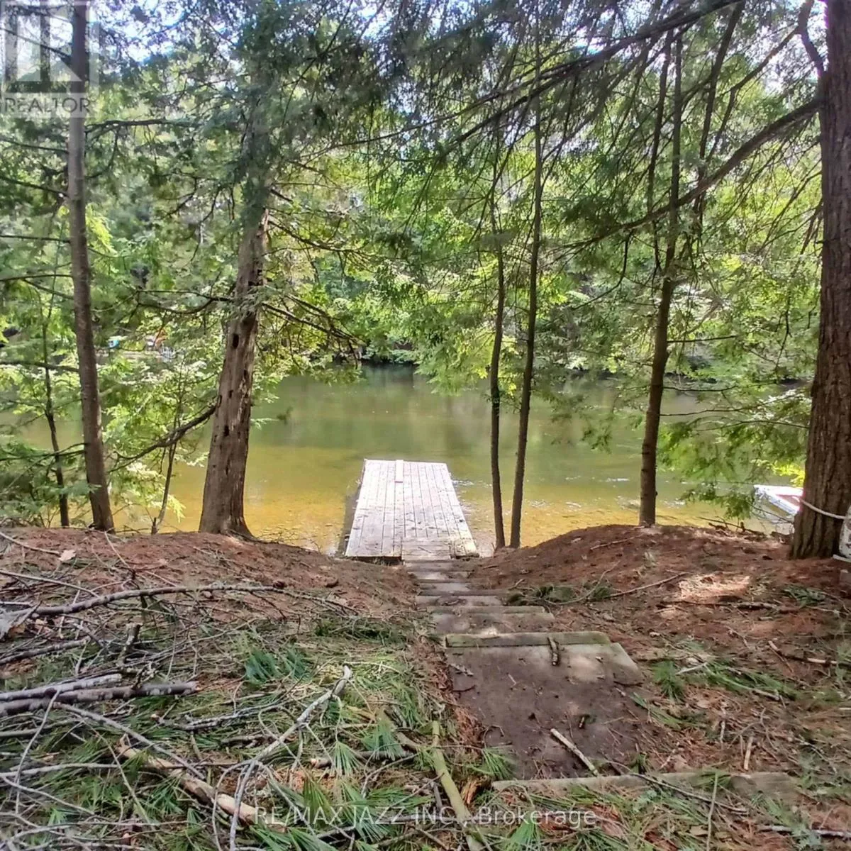 0 Concession 3 Road, Minden Hills, Ontario K0M 2L1