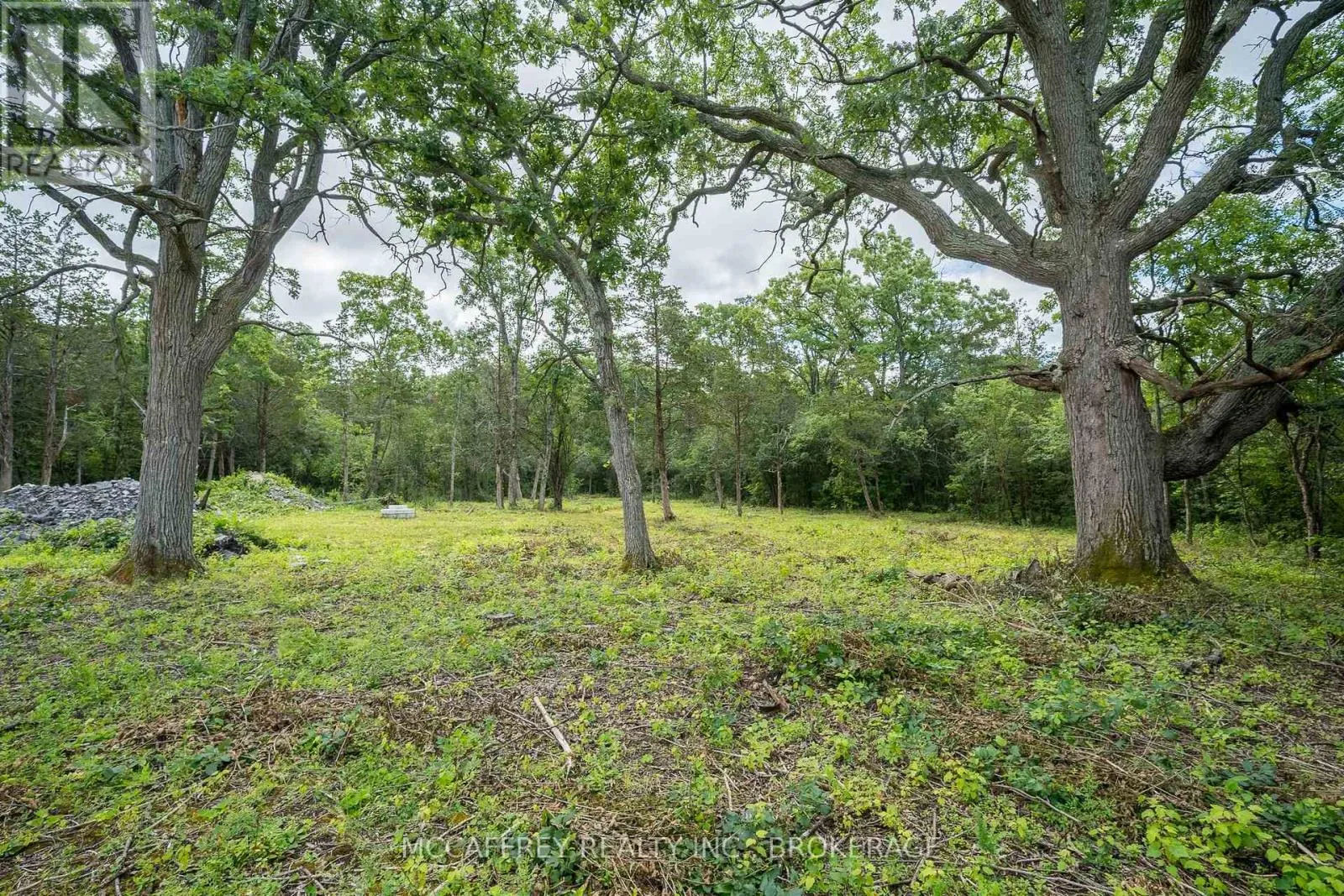 0 County Rd 9, Greater Napanee, Ontario K7R 3K8