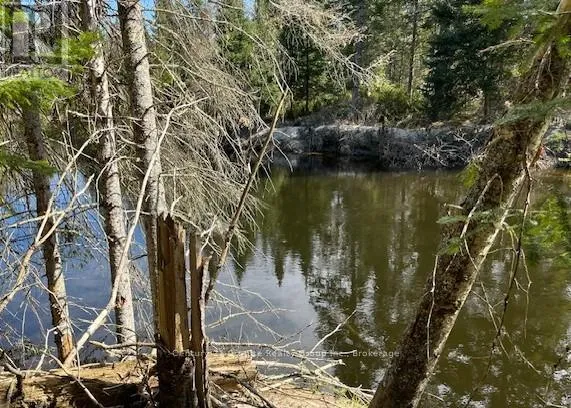 0 County Road 503, Minden Hills, Ontario K0M 2A1