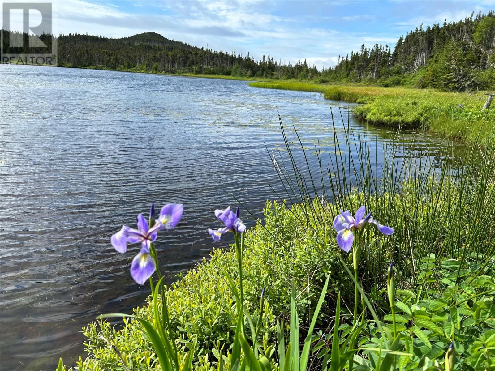 0 Farm Pond Road, Port Rexton, Newfoundland & Labrador A0C 0B0