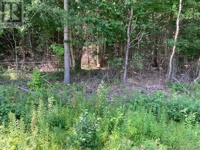 0 Frye Road, Chamcook, New Brunswick E5B 3R6