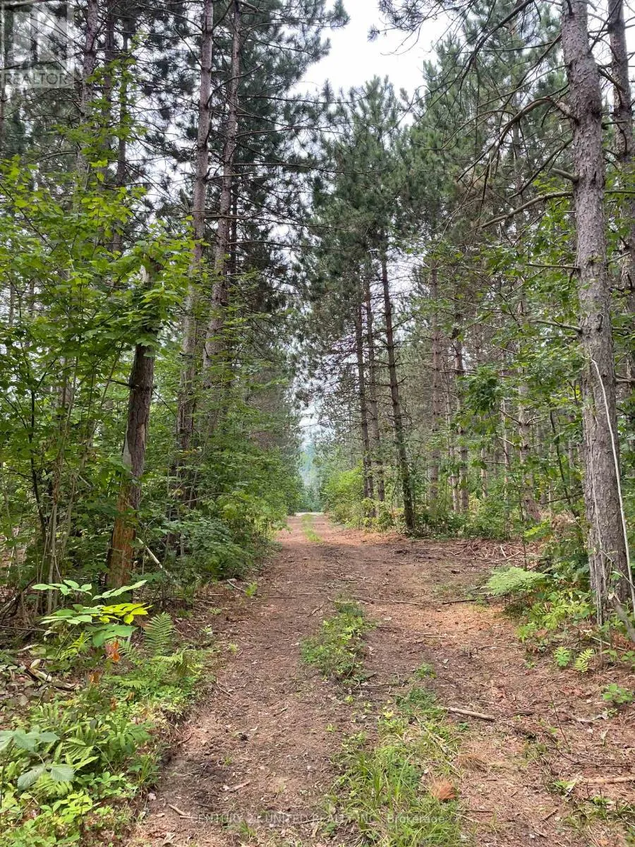 0 Government Road, Whitewater Region, Ontario K0J 1C0