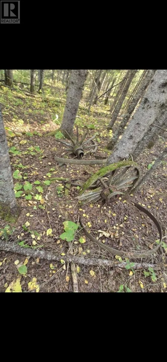 0 Hwy 11/17, Forbes Township, Ontario P0T 1X0