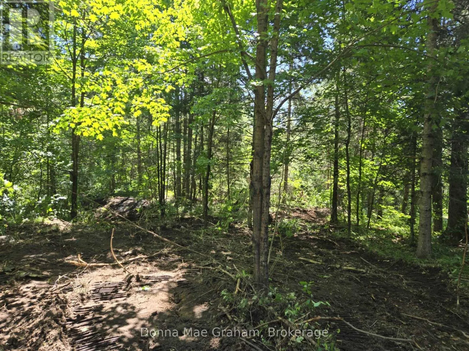 0 Hwy 503 Highway E, Highlands East, Ontario K0M 1R0