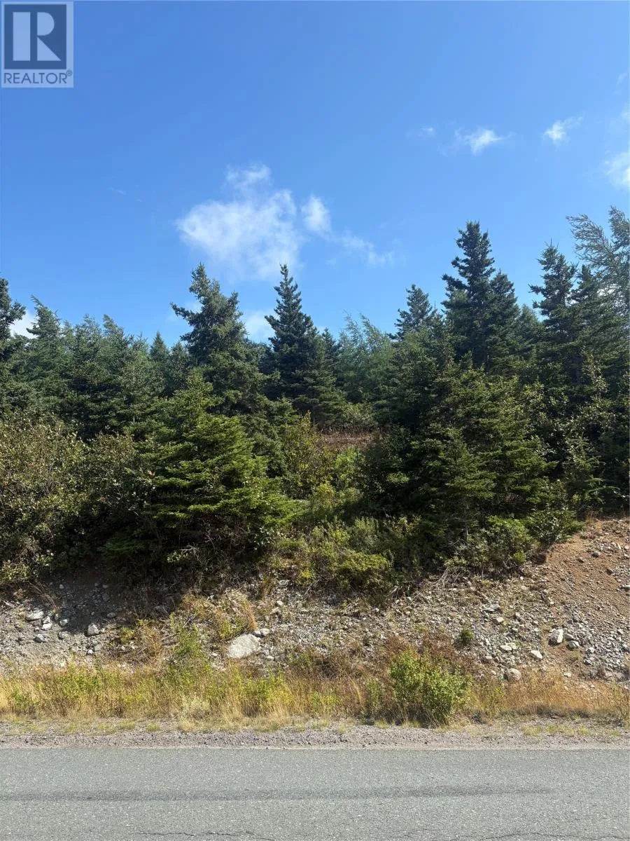 0 Jubilee Path, Brigus, Newfoundland & Labrador A0A 1K0