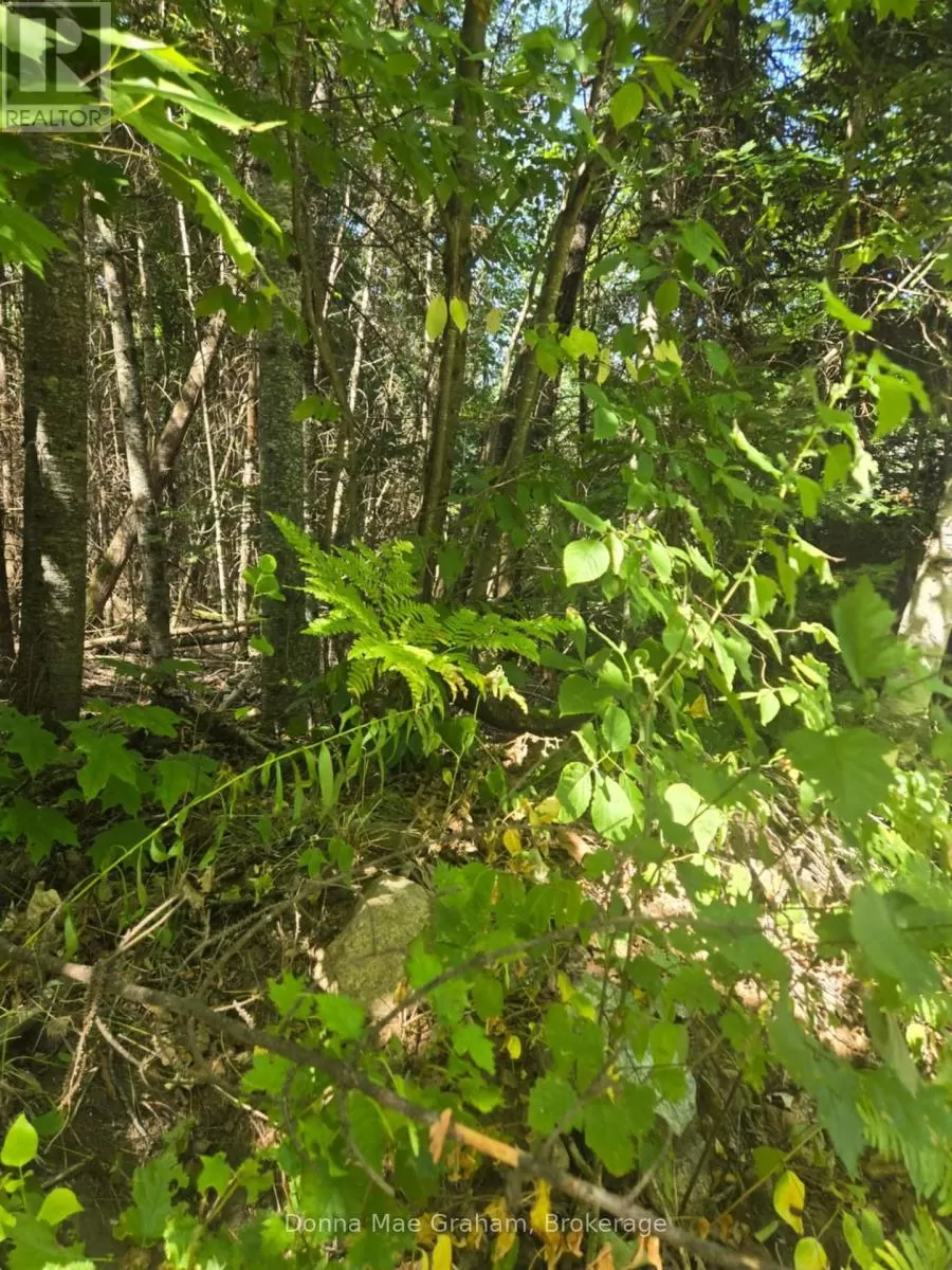 0 Macduff Road Acres E, Highlands East, Ontario K0L 3C0