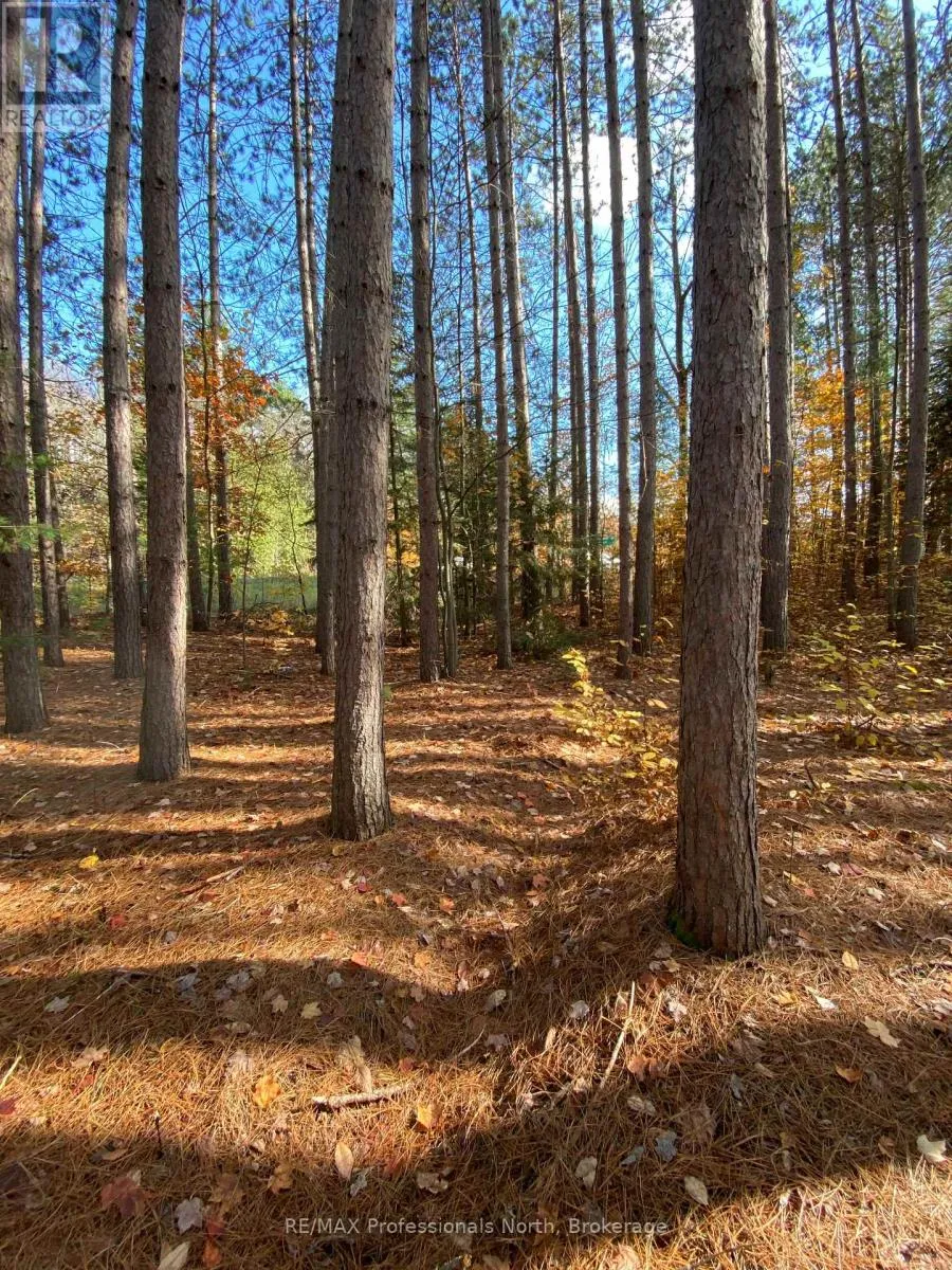 0 Maebar Road, Minden Hills, Ontario K0M 2K0