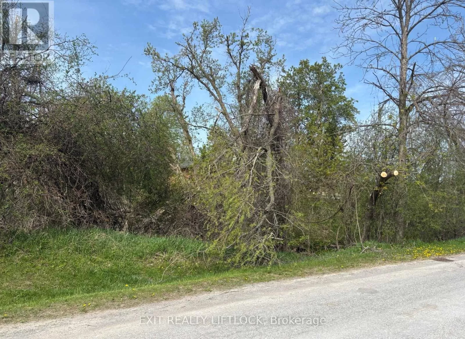 0 Maple Ridge Drive, Kawartha Lakes, Ontario K0L 2W0