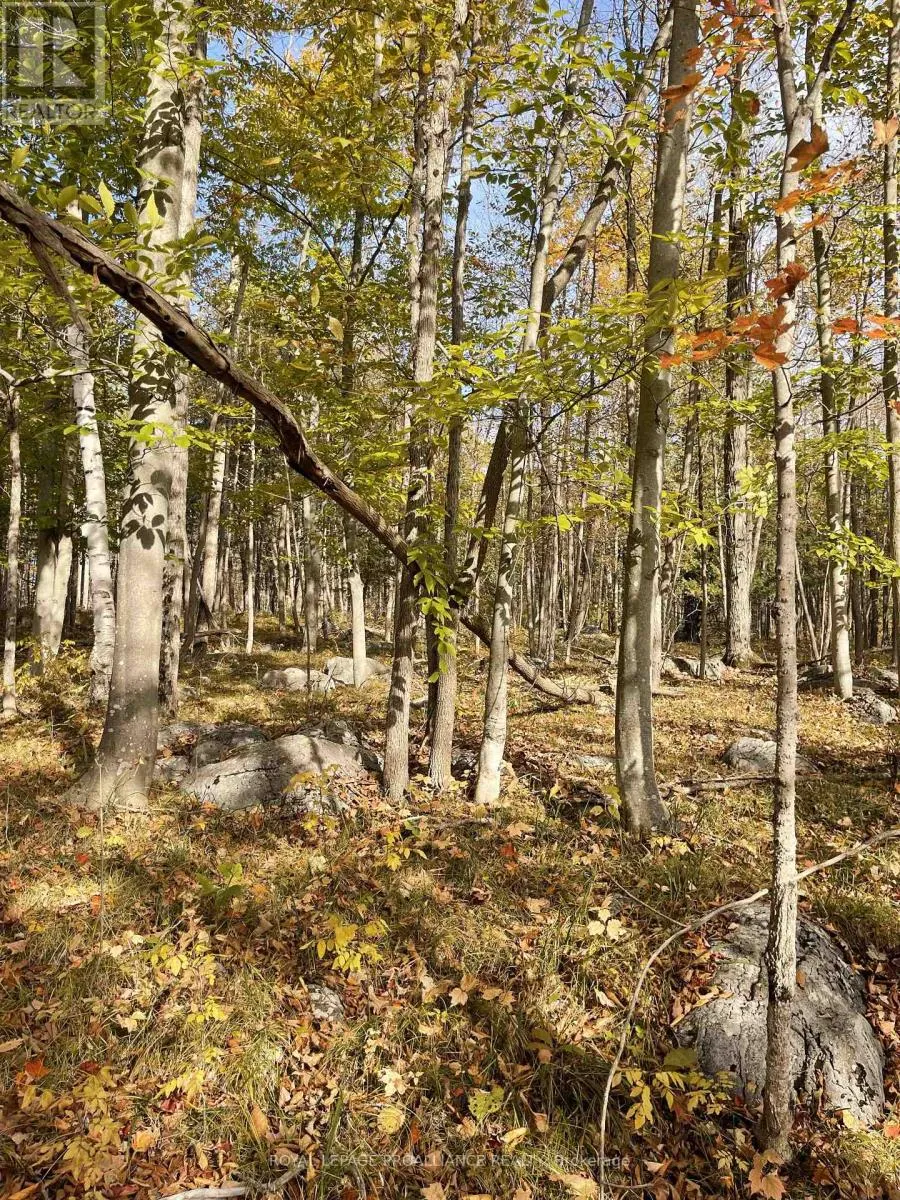 0 Marlbank Rd, Tweed), Ontario K0K 3J0