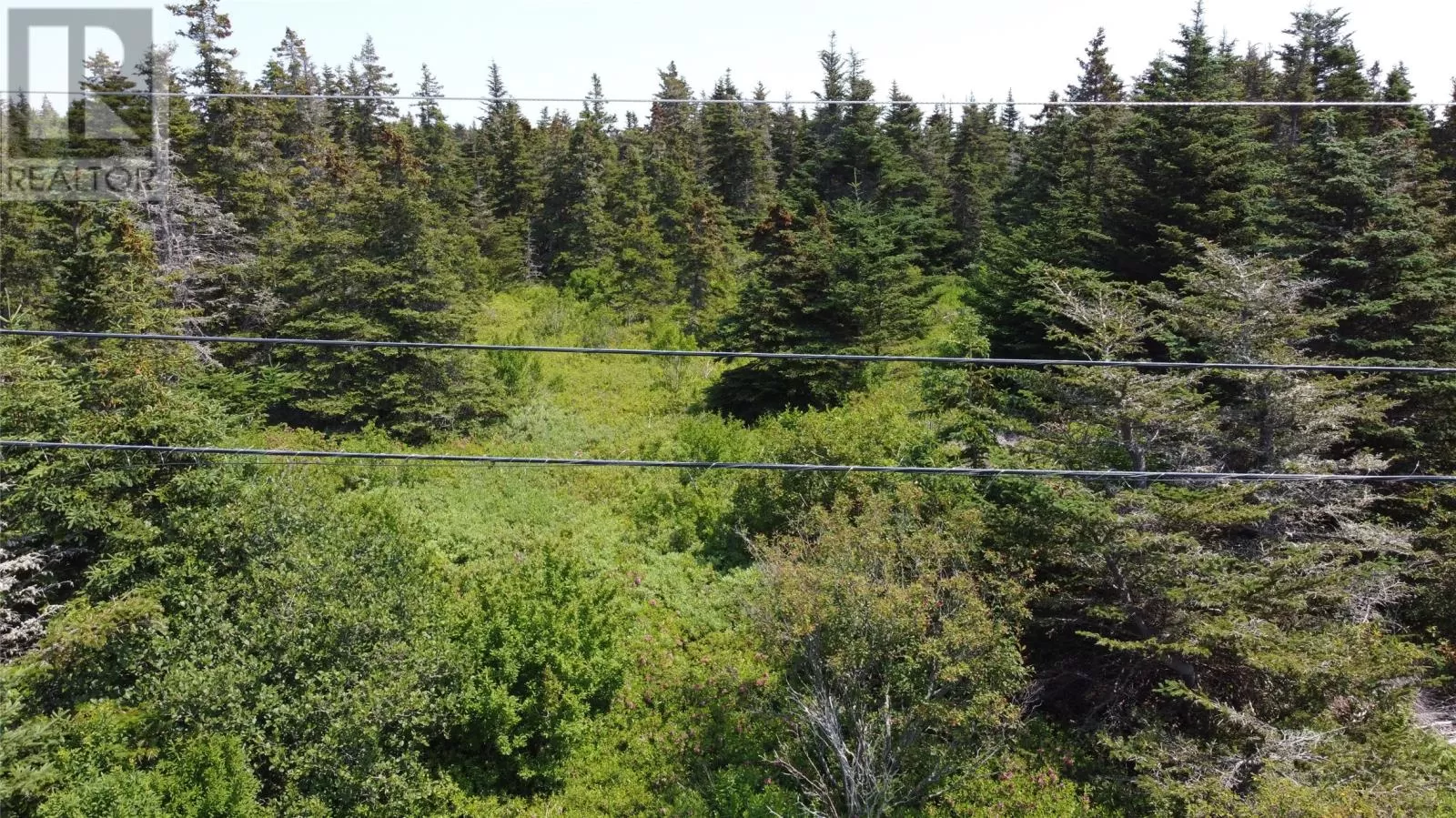 0 Mcnamara Crescent, Harbour Grace, Newfoundland & Labrador A0A 2M0