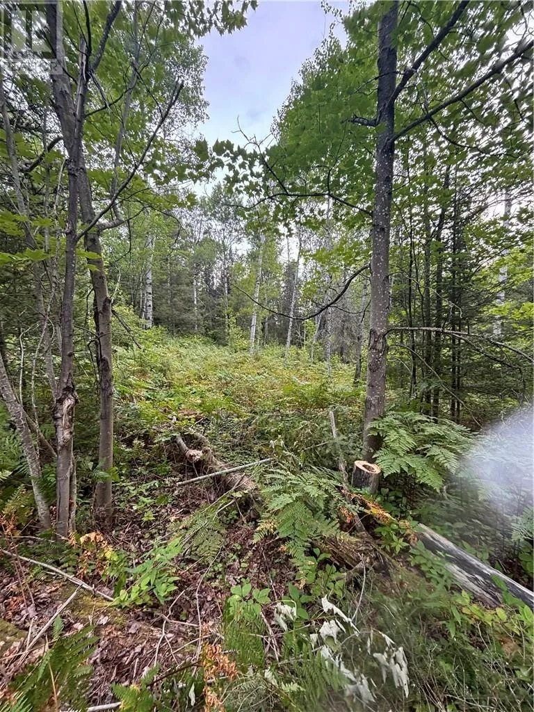 0 Mullen Road, Whitefish, Ontario P0M 3E0