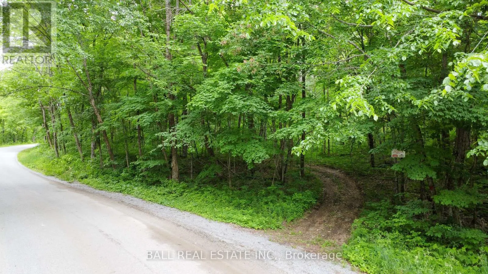 0 Northern Avenue, Trent Lakes, Ontario K0M 1A0