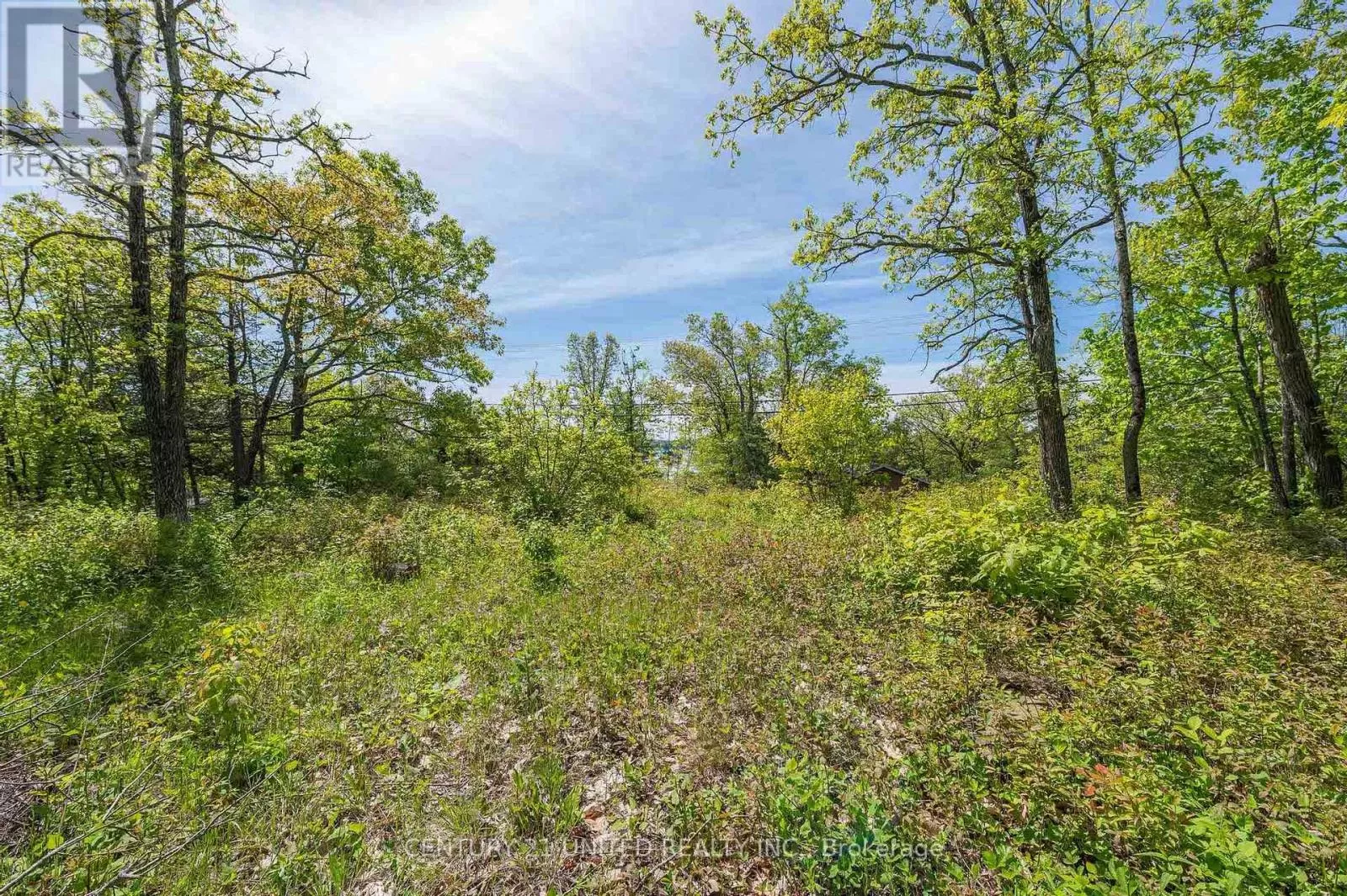 0 Northeys Bay Road, North Kawartha, Ontario K0L 2H0