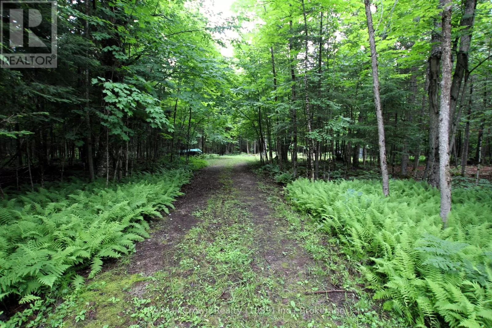 0 Pilgers Road, Nipissing, Ontario P0H 1J0