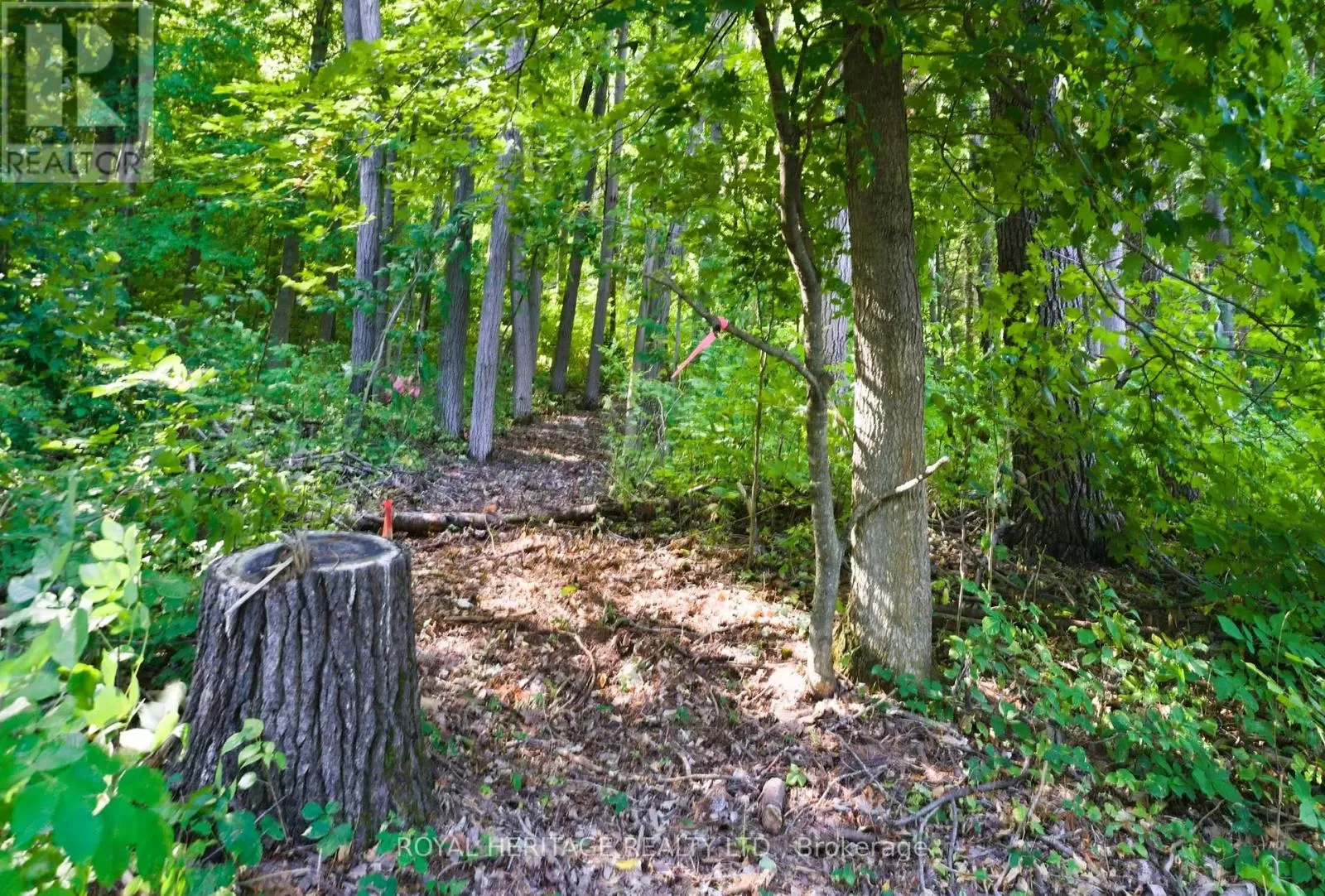 0 Pinewood School Road, Cramahe, Ontario K0K 1M0