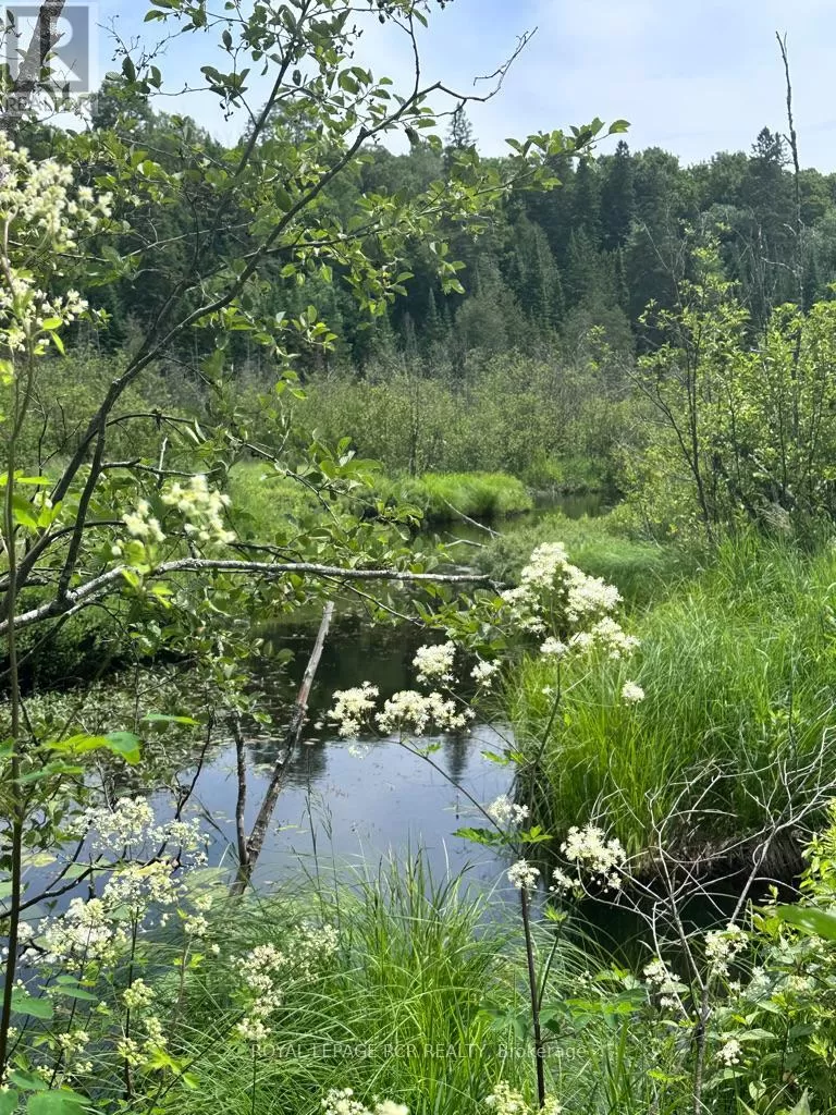 0 Pt Lt 6 Con 9, Highlands East, Ontario K0M 1R0