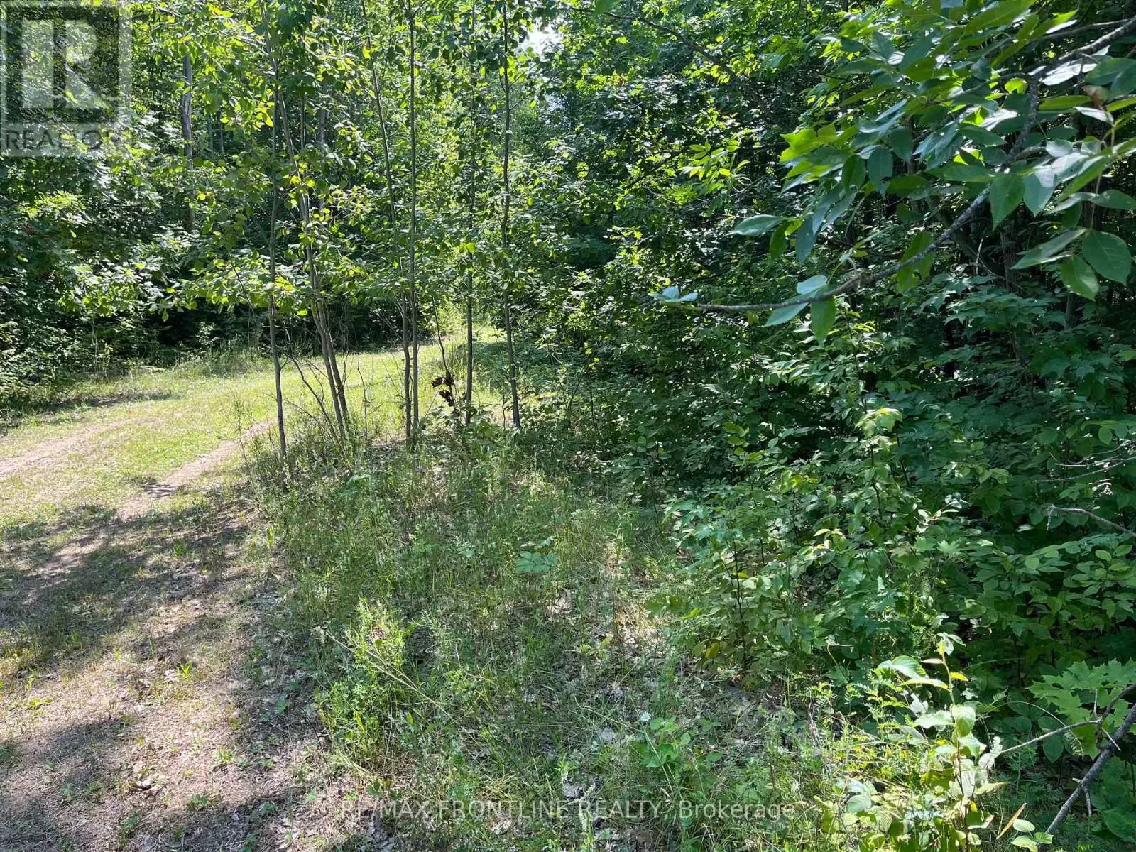 0 Red Pine Road, Tay Valley, Ontario K0H 2B0