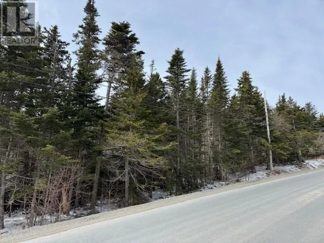 0 Saddle Hill, Carbonear, Newfoundland & Labrador A1Y 1A2