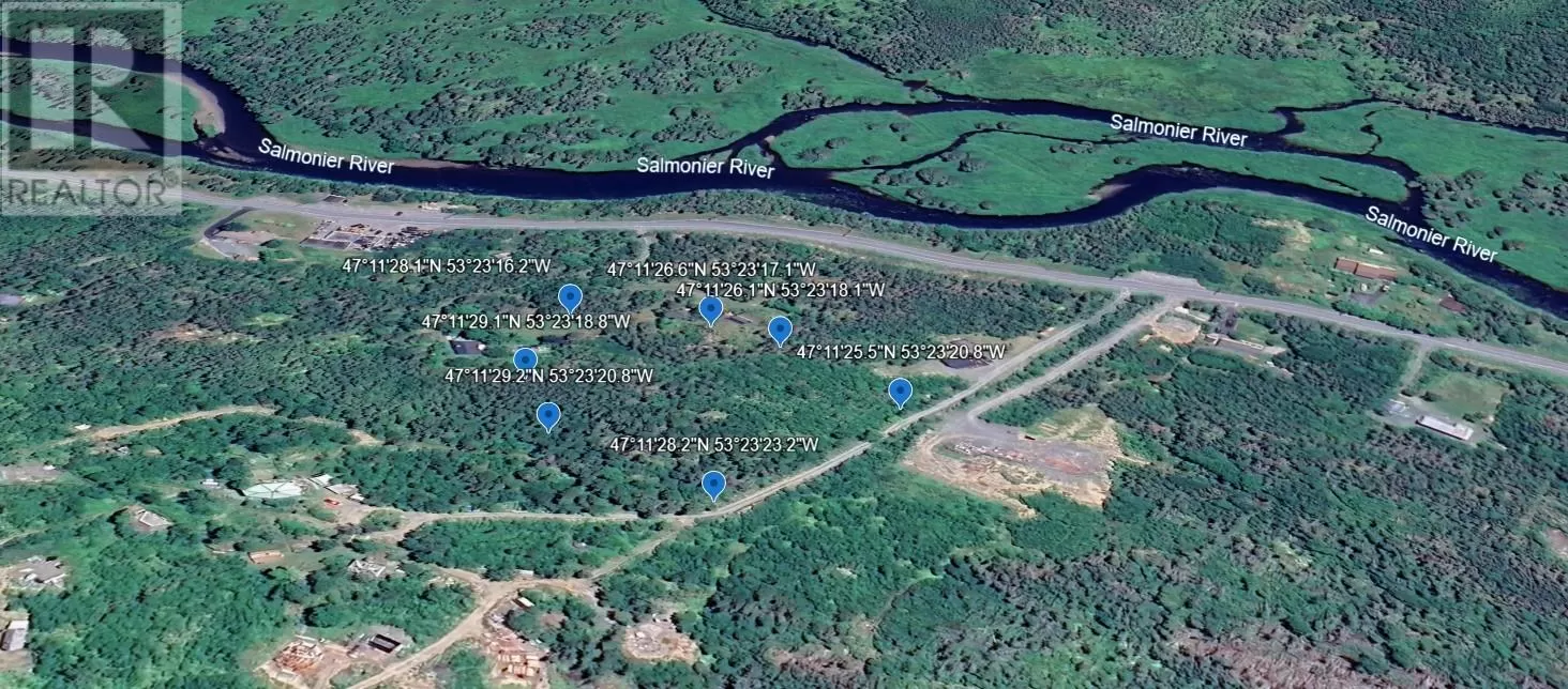 0 Salmonier Line, St.Catherines, Newfoundland & Labrador A0B 1G0