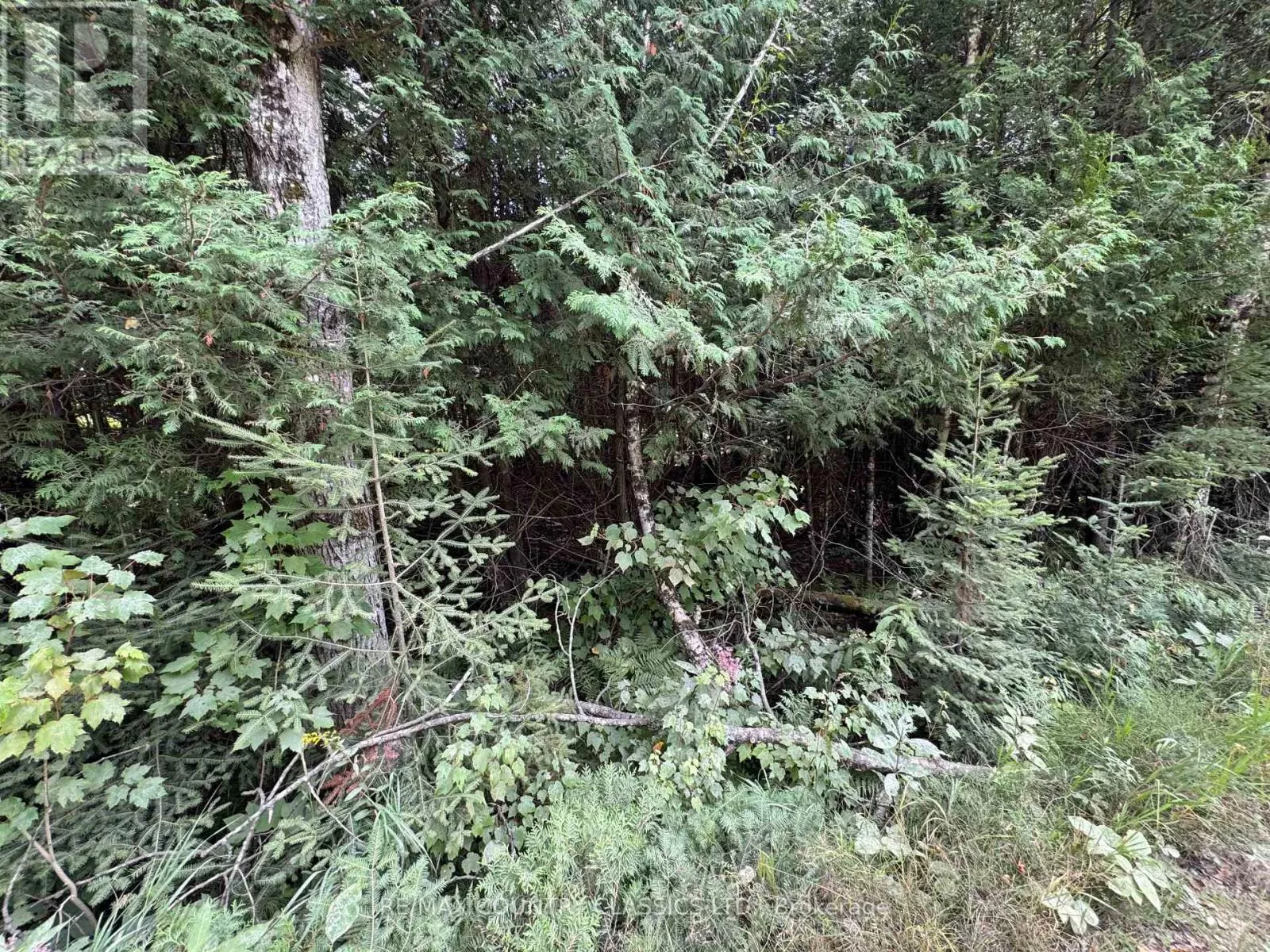 0 Schimmens Road, Brudenell, Lyndoch and Raglan, Ontario K0J 2E0