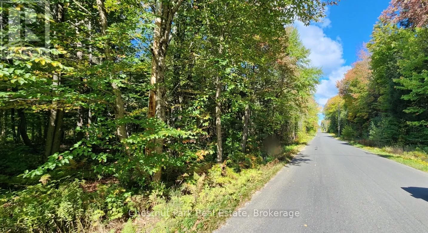 0 Skyline Drive, Armour, Ontario P0A 1C0