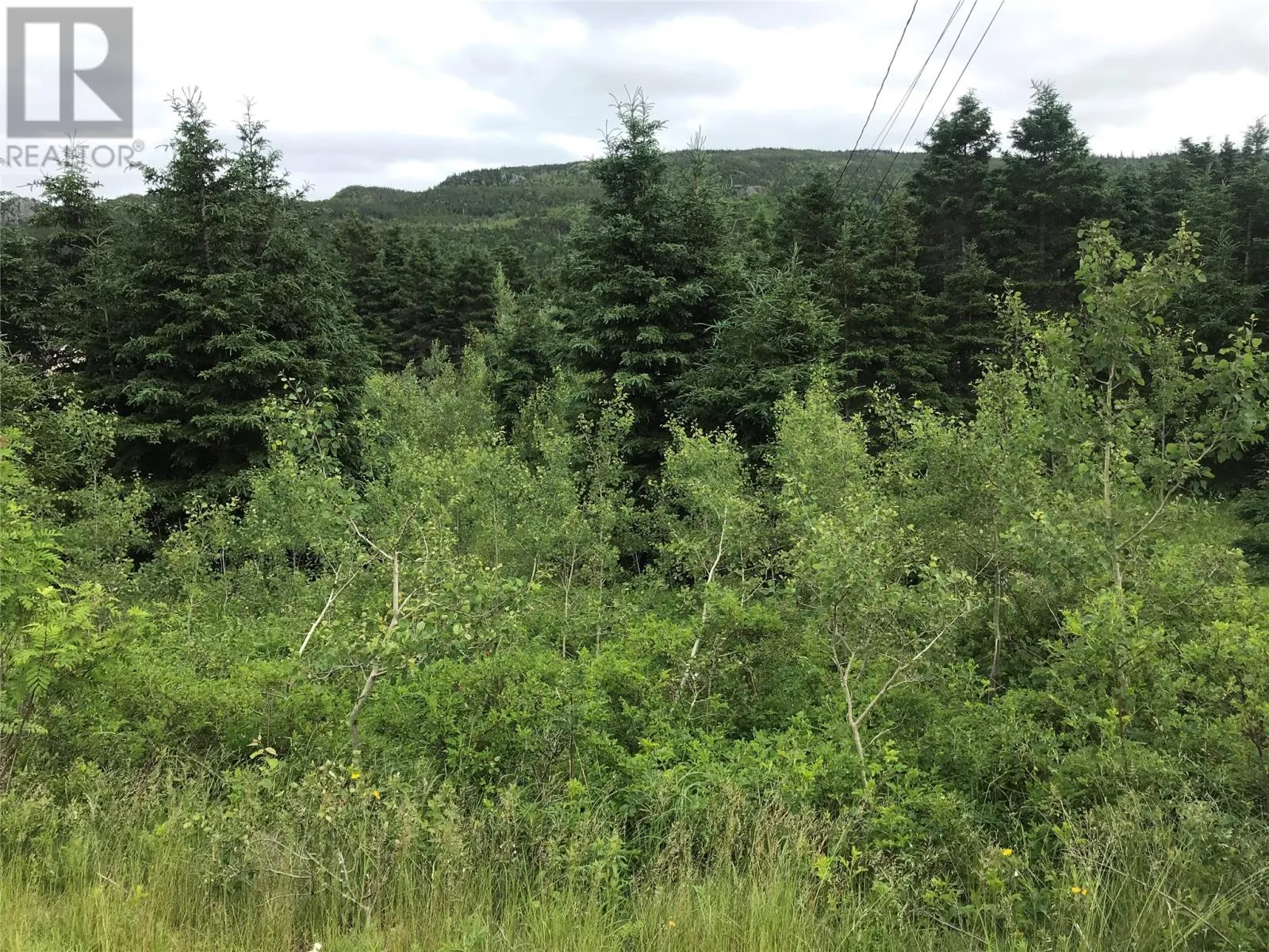 0 Snows Lane Road, North River, Newfoundland & Labrador A0A 3C0