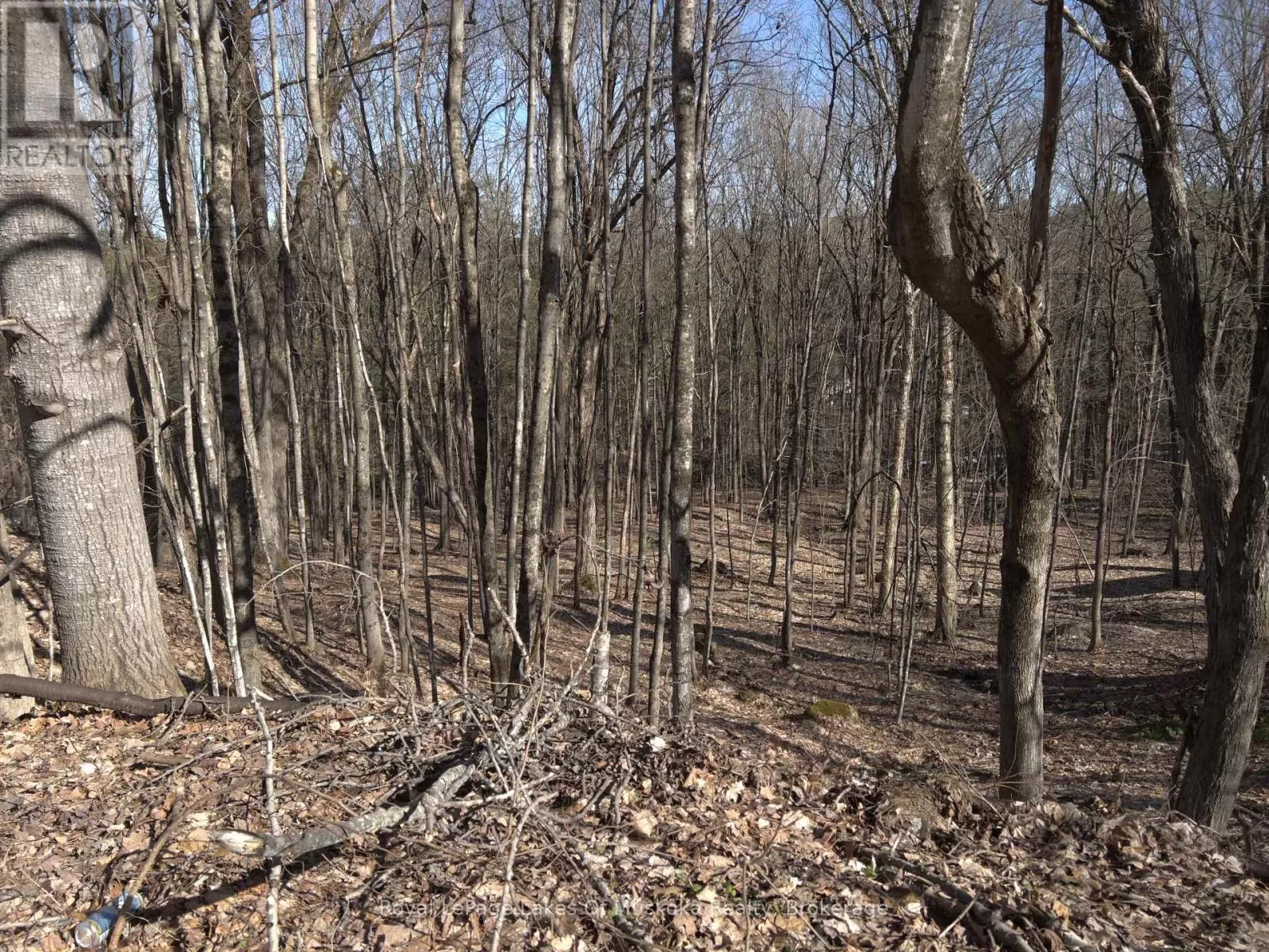 0 South Muskoka Drive, Bracebridge, Ontario P1L 1M4