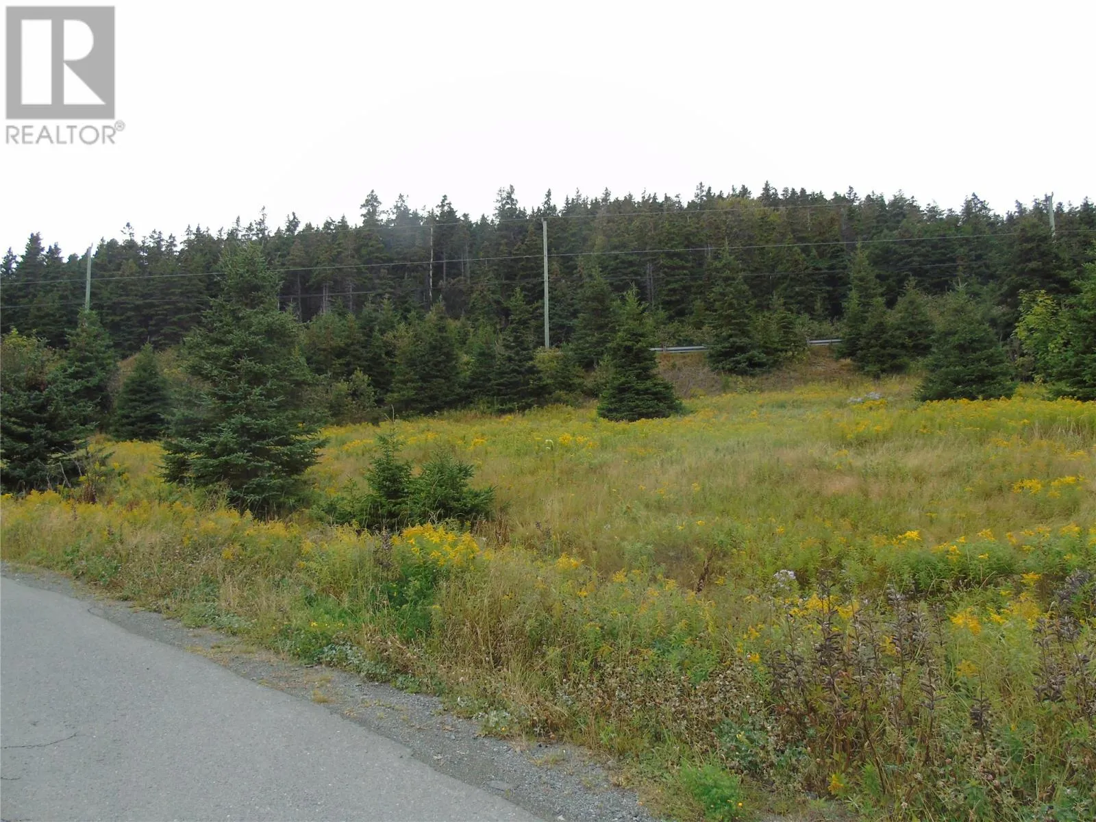 0 Southside Lance Cove Road, Bell Island, Newfoundland & Labrador A0A 4H0