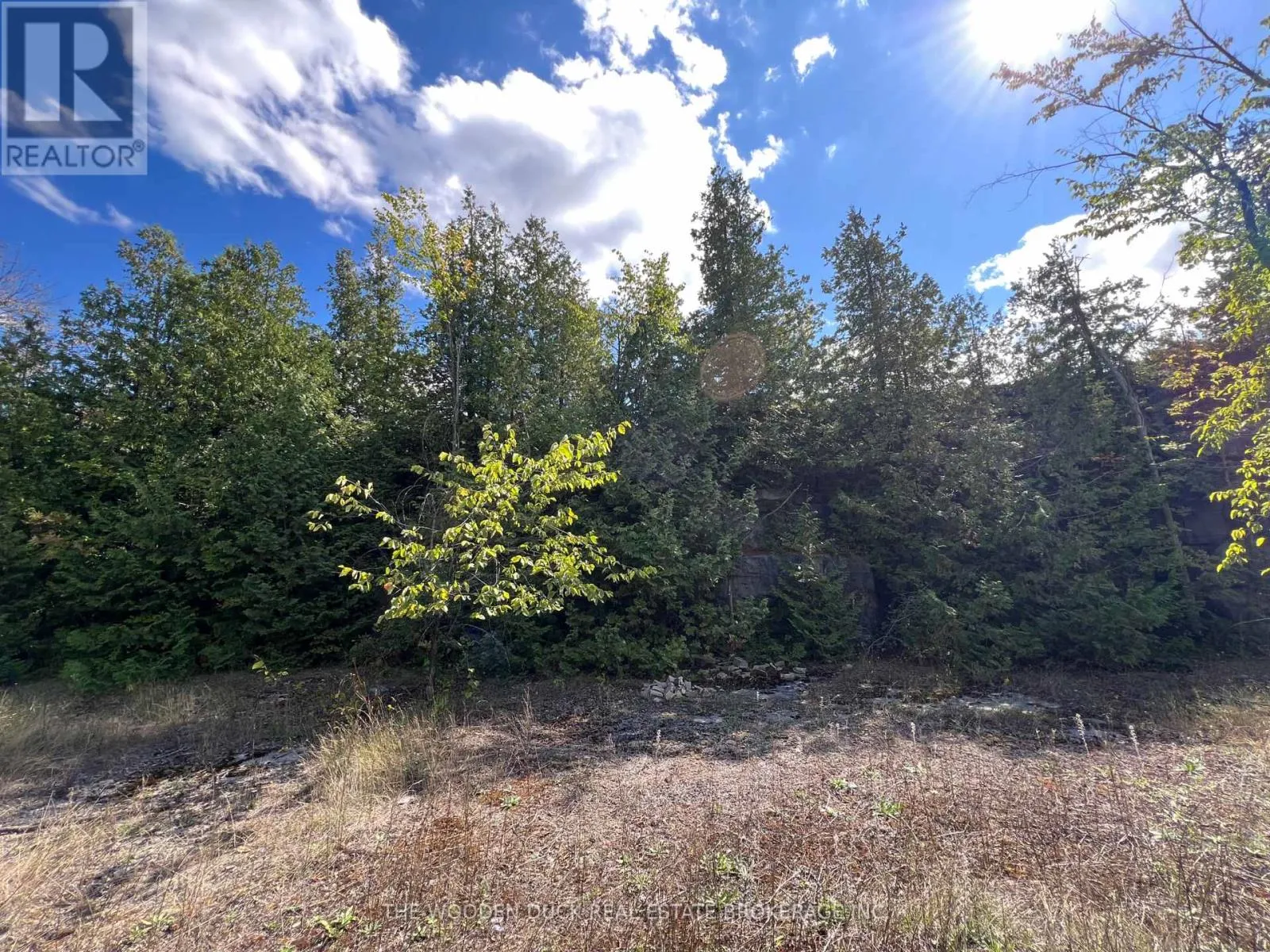 0 Tower Road, Madoc, Ontario K0K 1Y0