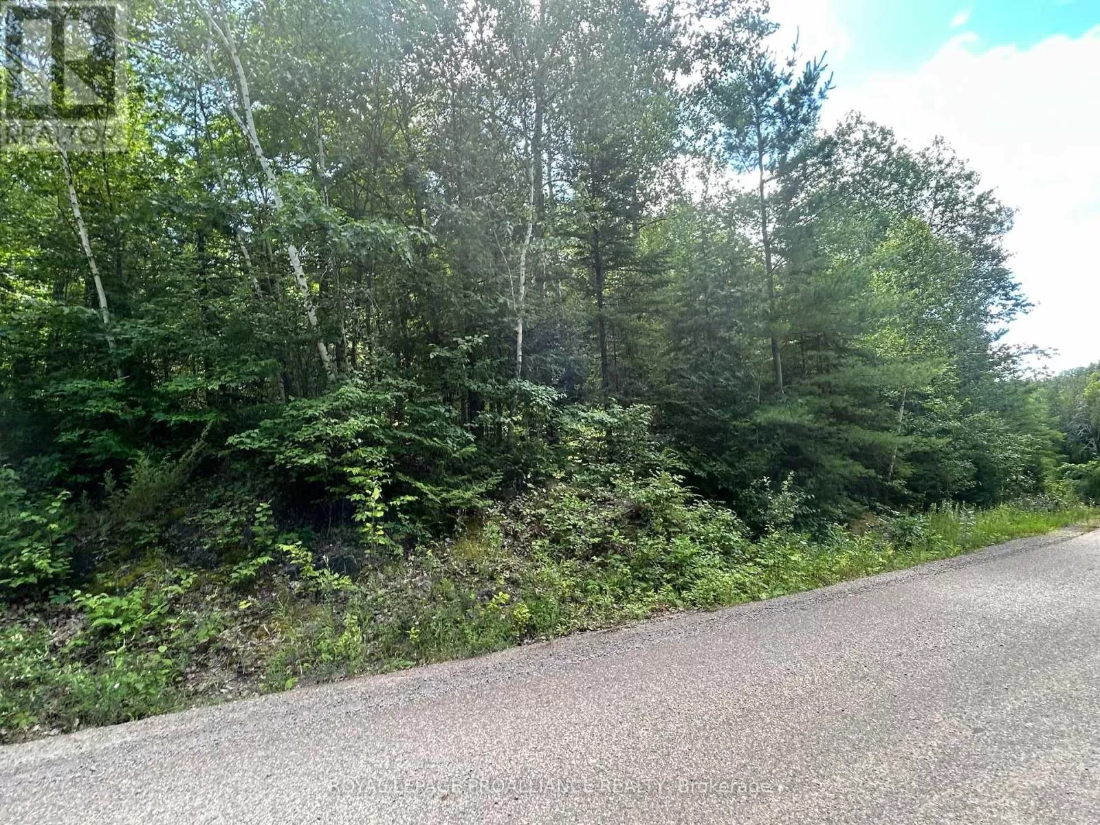 0 Trebbien Road, Bonnechere Valley, Ontario K0J 1T0