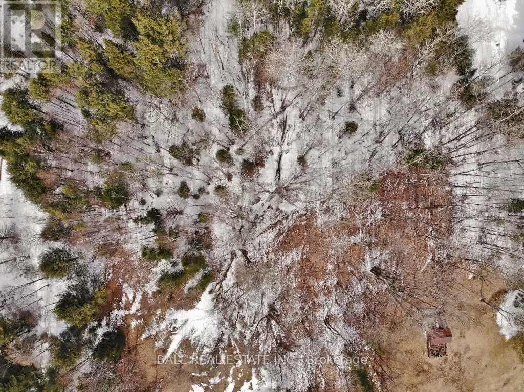 0 Unopened Road Allowance, Faraday, Ontario K0L 1C0