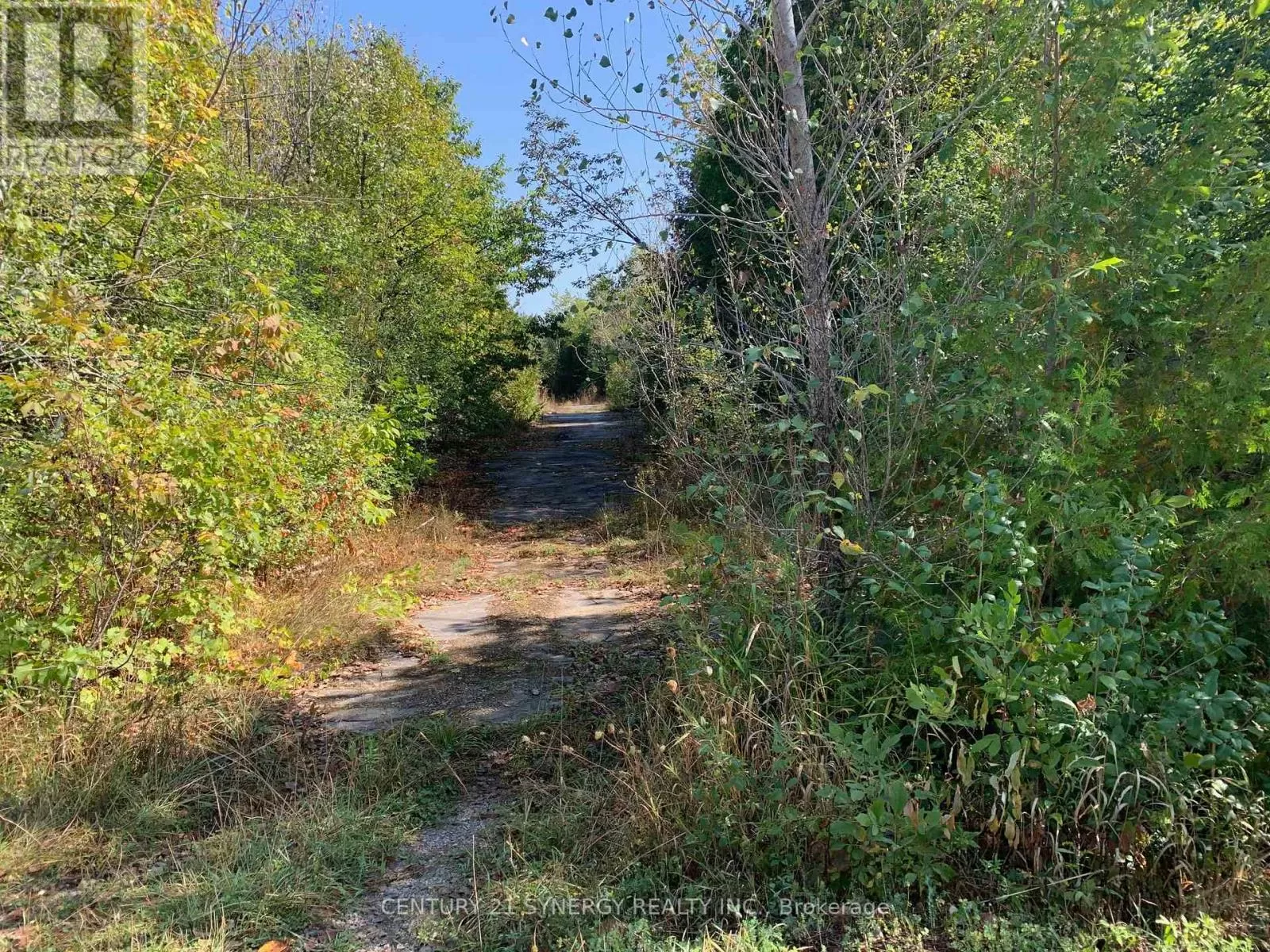 00 Basswood Crescent, Rideau Lakes, Ontario K7A 5B8