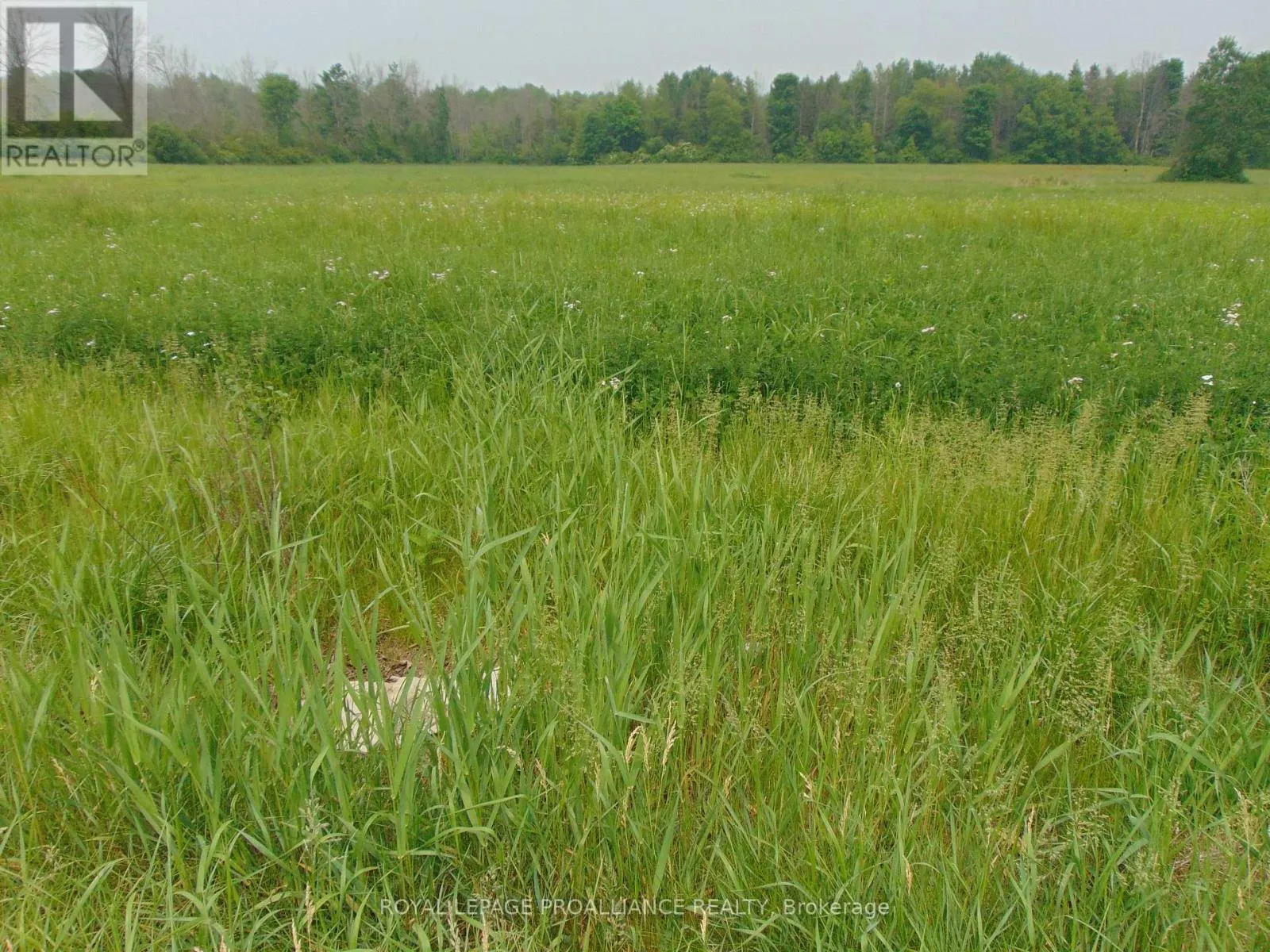 00 Charleville Road N, Augusta, Ontario K0E 1T0