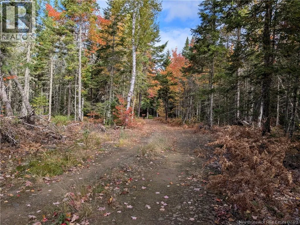 00 Highway 11, Redmondville, New Brunswick E1N 5C5