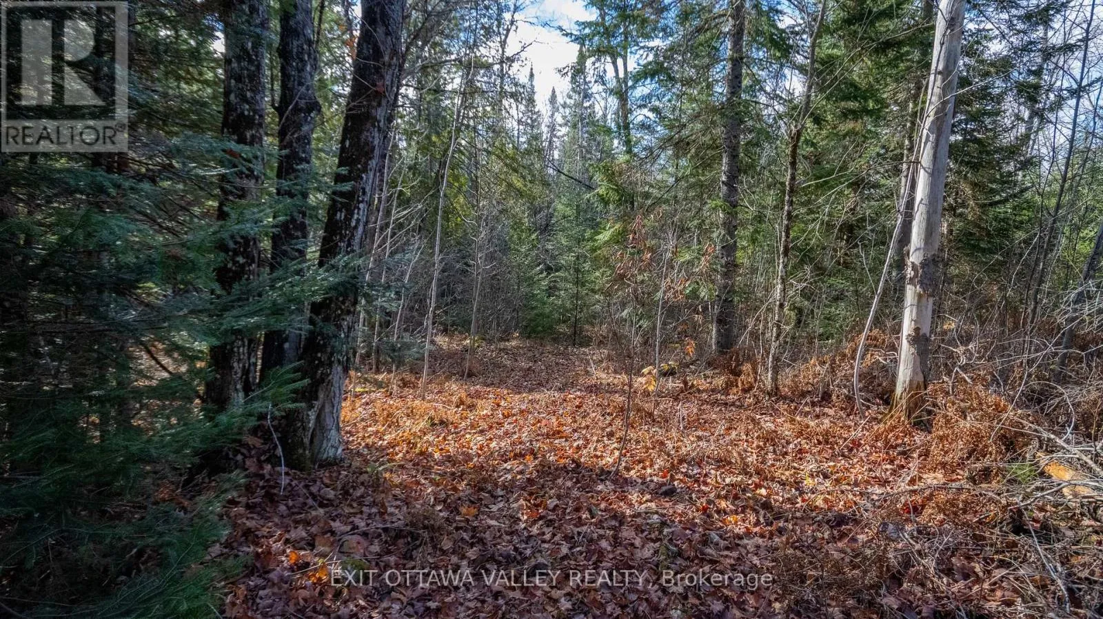 00 Highway 60 Highway, Madawaska Valley, Ontario K0J 1B0