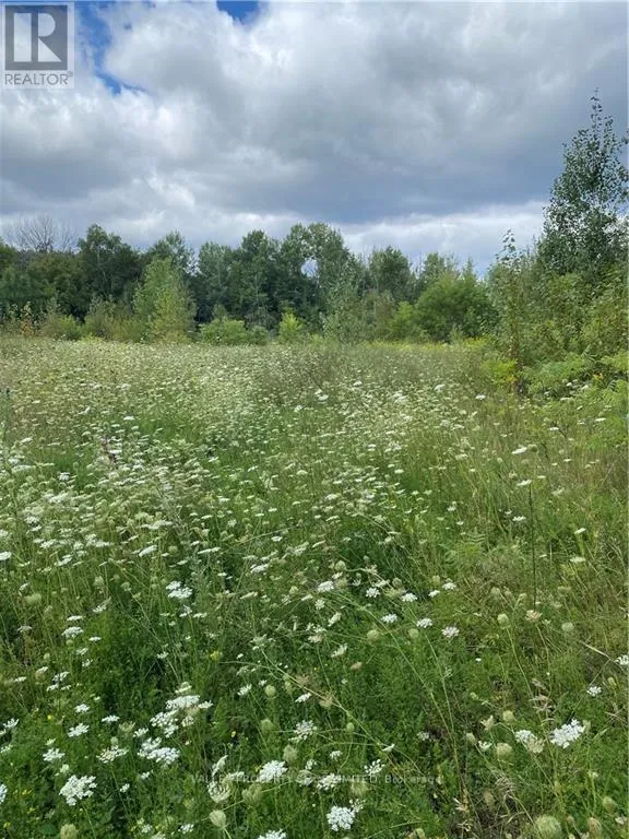 00 Jean Avenue, Laurentian Valley, Ontario K8A 5H9