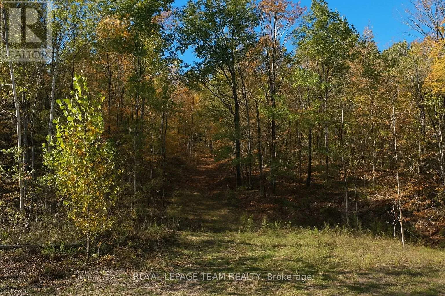 00 Maple Lane, Tay Valley, Ontario K0H 2B0