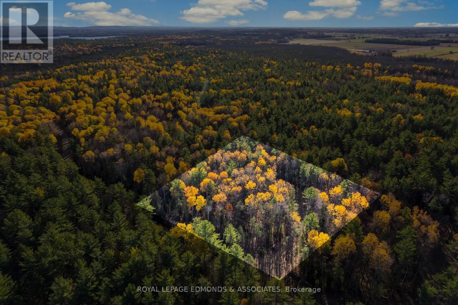 00 Nangor Trail, Whitewater Region, Ontario K0J 2L0